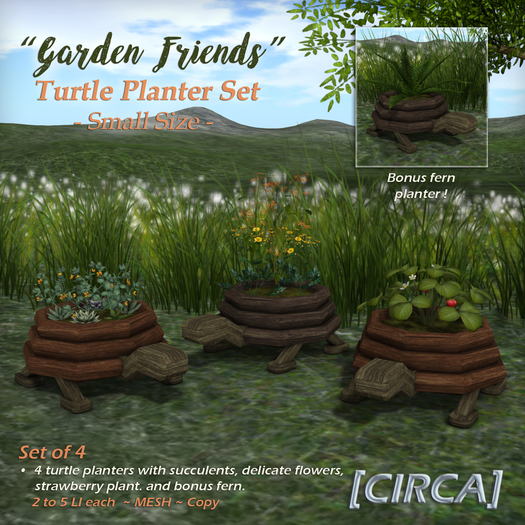 [CIRCA] - "Garden Friends" Turtle Planter Set - Small