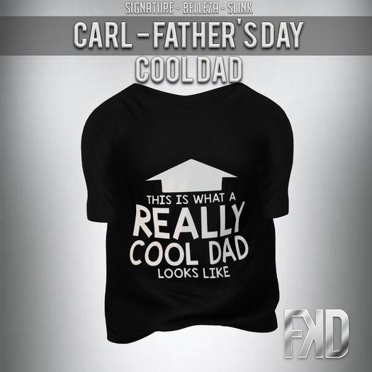 [FʞD] CARL - COOL DAD