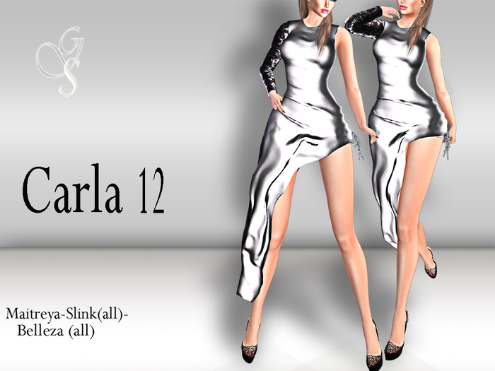 !GS- CARLA DRESS MESH 12