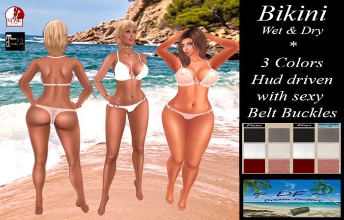 ~DF~Bikini Wet & Dry w/Hud