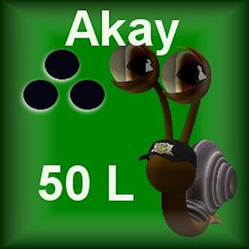 Teeny Snail Akay in a box