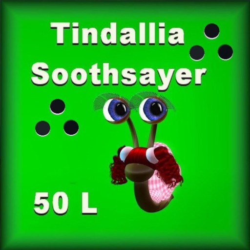 Teeny Snail Tindallia in a box