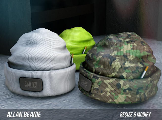 ExalteD - Allan Beanie {Resize}