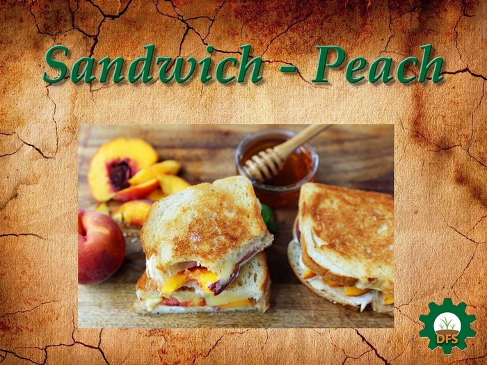 DFS Texture  Sandwich - Peach