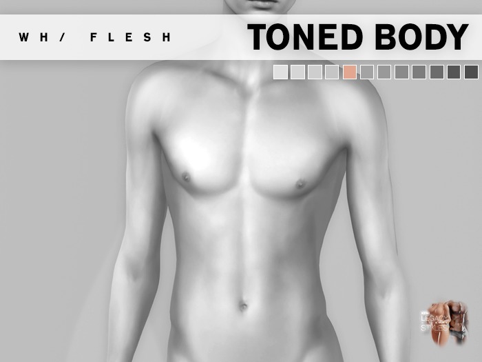 Flesh x Legacy : Male Toned Body - Chai - Demo