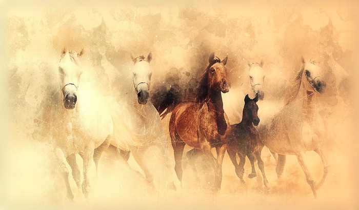 Galloping Horses