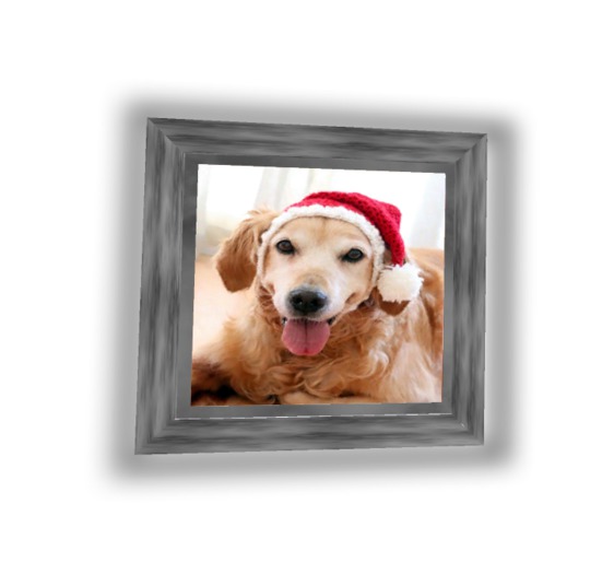 ::MM:: 1 picture frame with up to 22 random photo