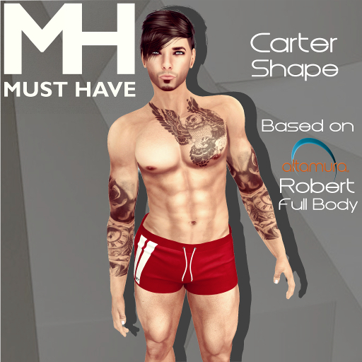 Second Life Marketplace - MUST HAVE - Carter Shape (Altamura Robert ...