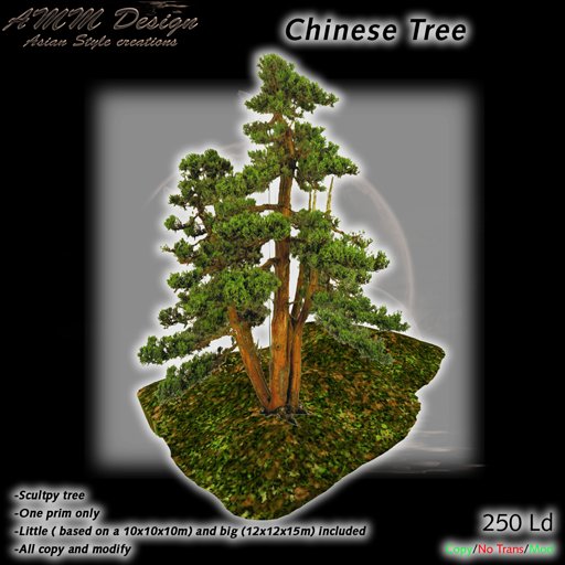 *AMM Design Landscaping / Plant Chinese Tree 