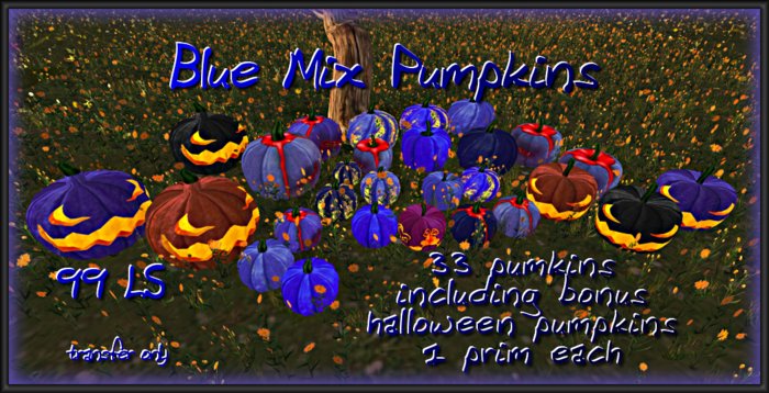 Blue Mix Pumpkins- Fire Beach Designs Giftbox