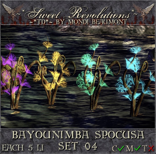 ~*SR*~ & ~*TD*~ Bayounimba Spocusa Set 04 Box