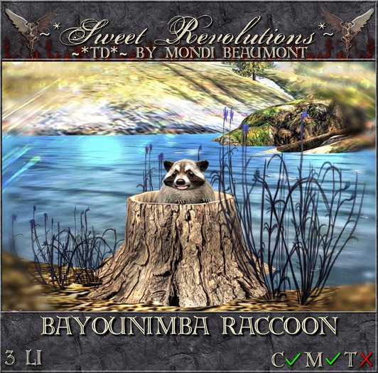~*SR*~ & ~*TD*~ Bayounimba Raccon Box