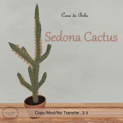 {CdB} Sedona Cactus