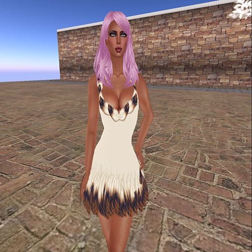 Feather Dress (Boxed) - Y?