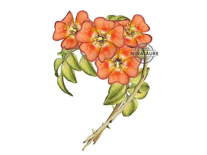 *LODE* Head Accessory - Wild Roses II Crown [wild]