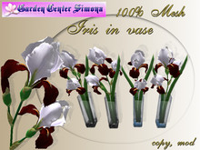 Iris in glass vase, red, white_001_3