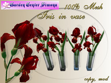 Iris in glass vase, red_001_4