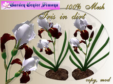 Iris in dirt, red, white_001_3