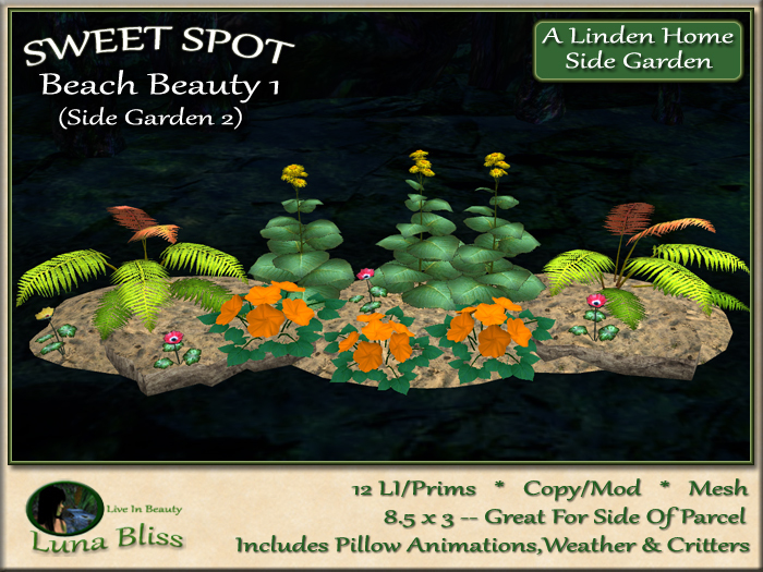 Beach Beauty 1 SWEET SPOT - Side Garden 2 (boxed)