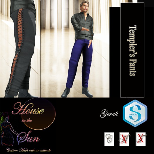 Templer Leather Pants Purple