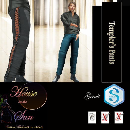 Templer Leather Pants Blue