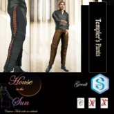 Templer Leather Pants Brown