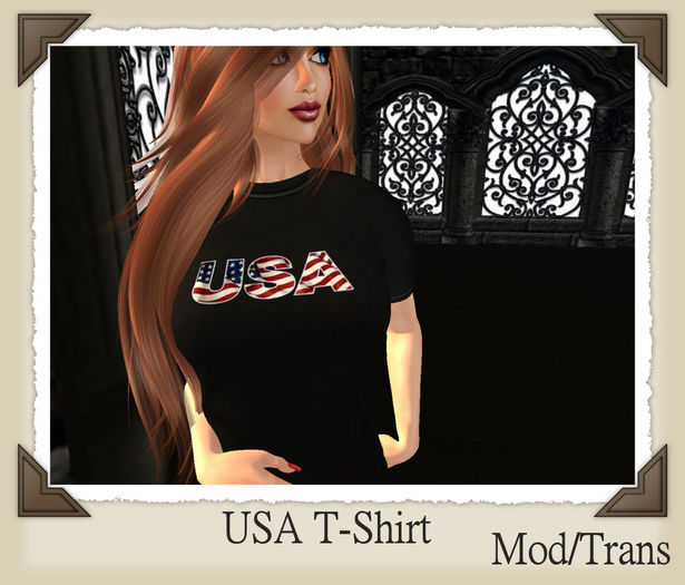 USA Ladies T-shirt