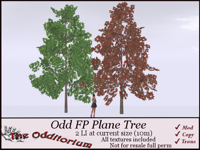 Odd Plane Tree Full Perm - 2LI