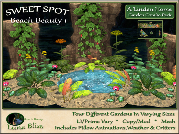 Beach Beauty 1 SWEET SPOT - COMBO PACK (boxed)