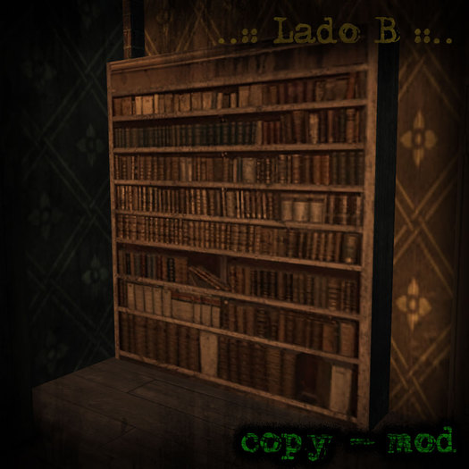Bookcase Grunge  ..::Lado B::..