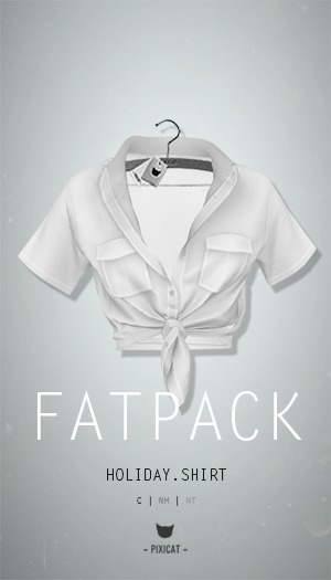 -Pixicat- Holiday Shirt (All)