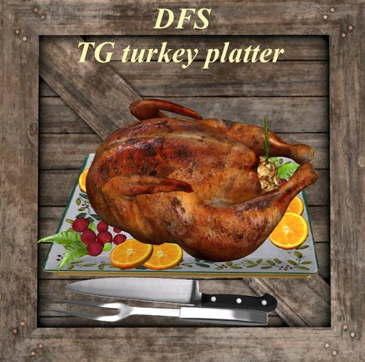 Second Life Marketplace - TG turkey platter DFS storage vendor crate ...