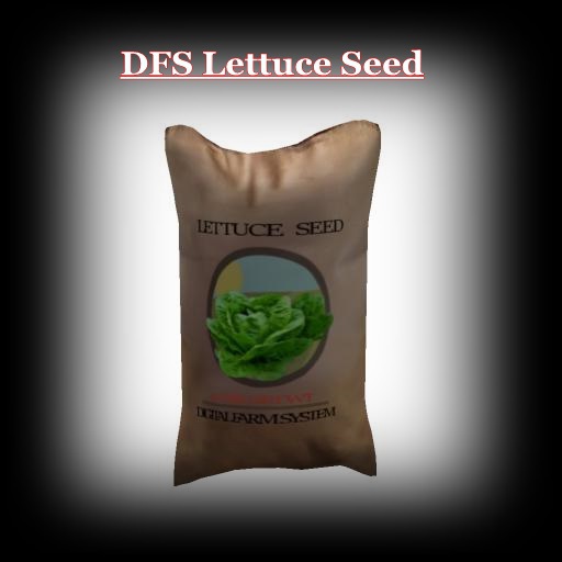DFS TEXTURE - DFS Lettuce Seed
