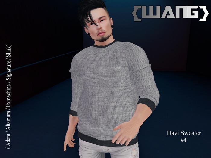 {WANG} Sweater #04 - SIGNATURE/SLINK/ALTAMURA/ADAM/EXMAC (ADD)