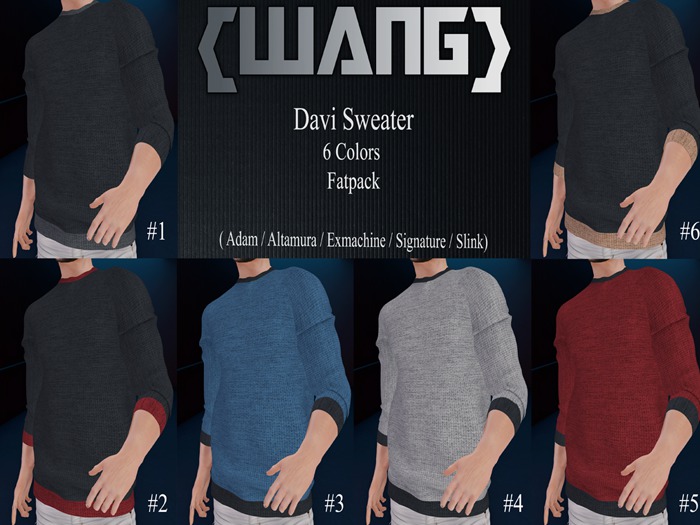 WANG -Davi SWEATER MALE