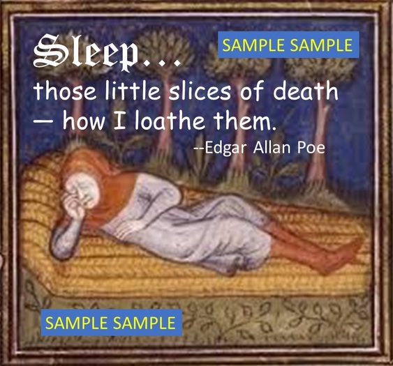 Poster - Poe Sleep