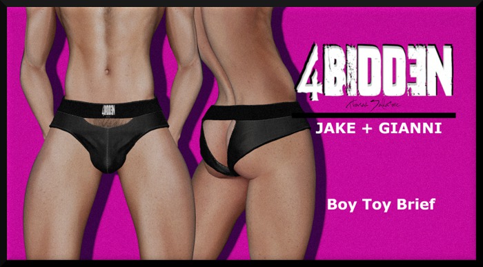 .::4BIDDEN::. Boy Toy Brief