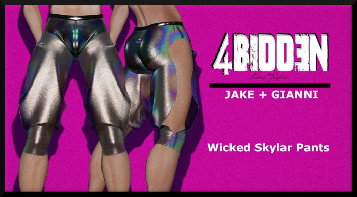 .::4BIDDEN::. WIcked Skylar pants