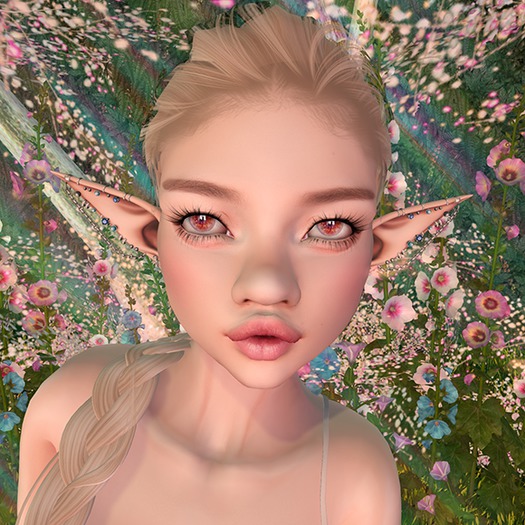 Callipygian: Daisy Hourglass (Wear)