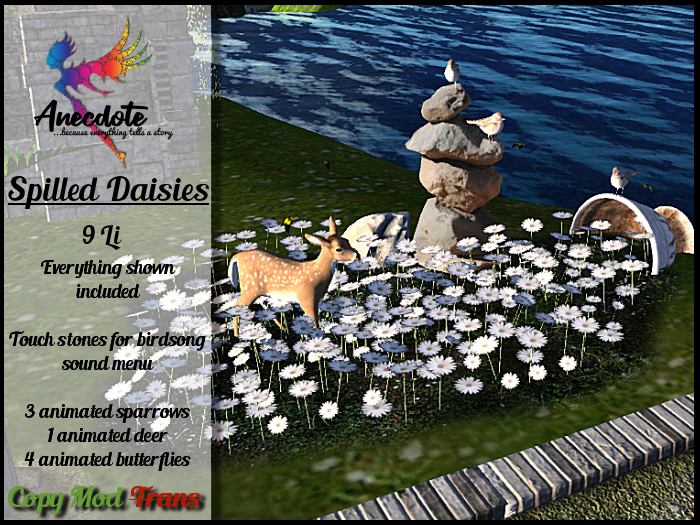 [A] Spilled Daisies