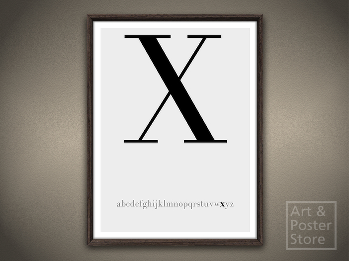 Capital Letter X Typography Poster | Mesh Framed with 6 texture options