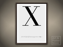 Capital Letter X Typography Poster | Mesh Framed with 6 texture options