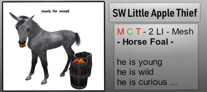 SW Little Apple Thief - Horse Foal