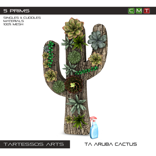 ::TA Aruba Cactus - Copy