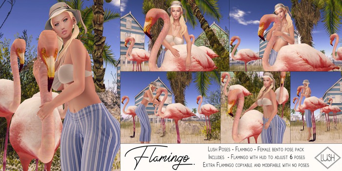 Lush Poses - Flamingo - Female Pose Pack