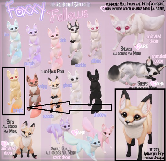darkendStare. foxxy fellows pet [bright]