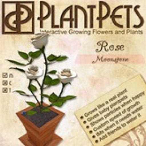 PlantPet Seed [Rose *Moonstone*]