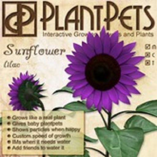 PlantPet Seed [Sunflower *Lilac*]