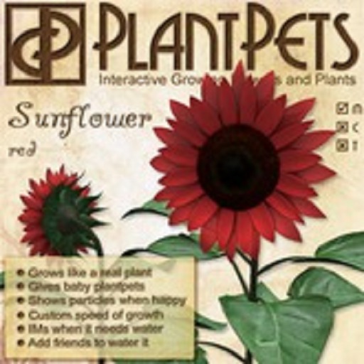 PlantPet Seed [Sunflower *Red*]