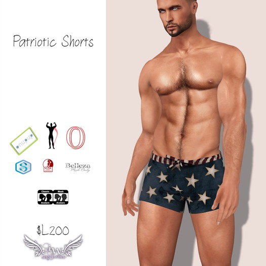 ~*AW*~ Patriotic Shorts